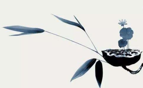 女生鸡属相婚配表大全 女生属鸡与什么属相配