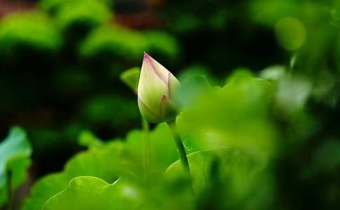 男孩五行缺金的名字推荐