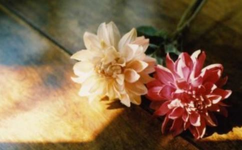 如何传承中华民族的优秀传统文化