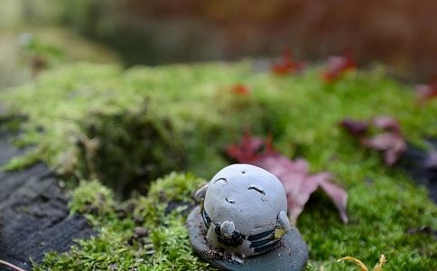 八字伤官喜见财是正财？还是偏财？