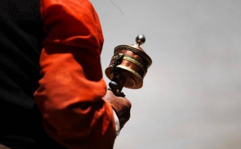 梦见自己找到野生鸡纵是什么情况？