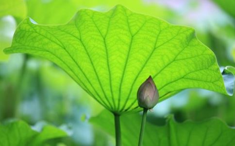 破财的风水如何化解？大门迎面就是走廊不好？