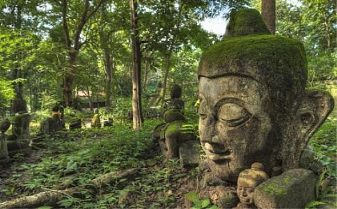 复合符一定会复合吗