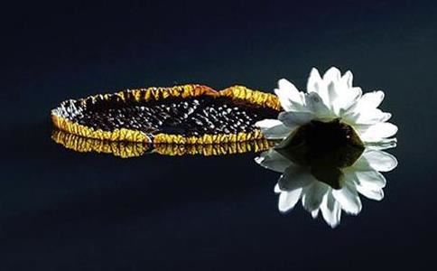 属马的生什么属相的宝宝好 属马人要什么宝宝最旺