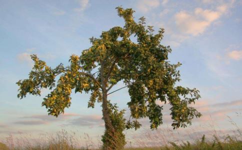 钟取什么名字好听男孩