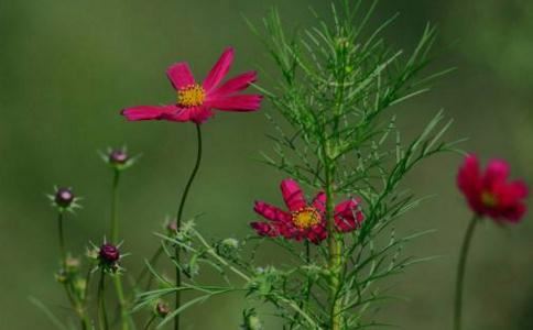 道家超度婴灵价格是多少，其实价格并不是很贵