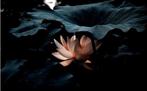 夫妻和合法术可让变淡的感情恢复如初