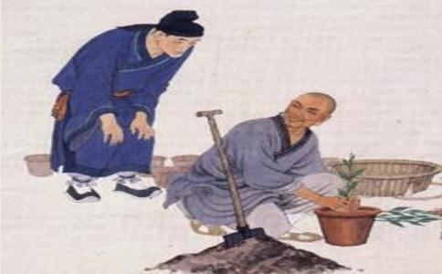 测名打分最准的网站