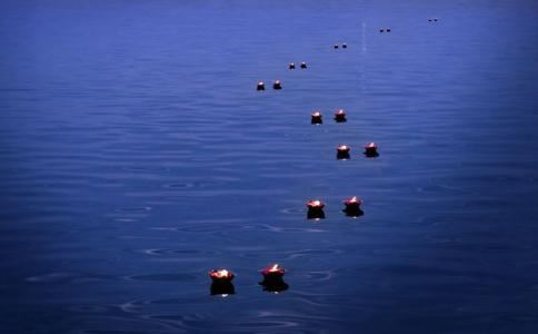 墓库是什么意思？八字神煞墓库的查法