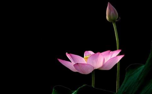 93年属鸡的姻缘在哪年，今年适合完婚吗，能否幸福