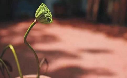 男孩带霖字大气名字