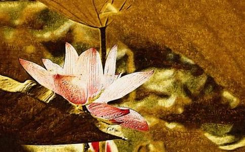 正缘已经在身边的征兆算命问什么？