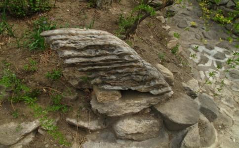 每日免费一签一卦鬼谷子抽签