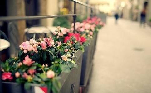 属马人最克哪些属相的人，​属马人运势如何？