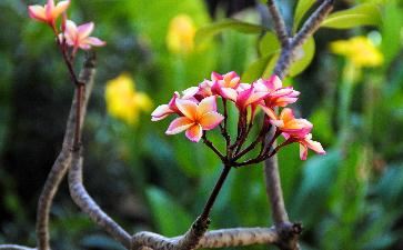 煊字取名忌讳有哪些？