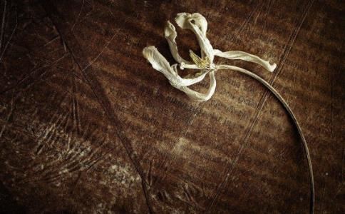 投票软件哪个更好？