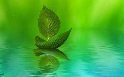 88年女的是什么命格的人呢