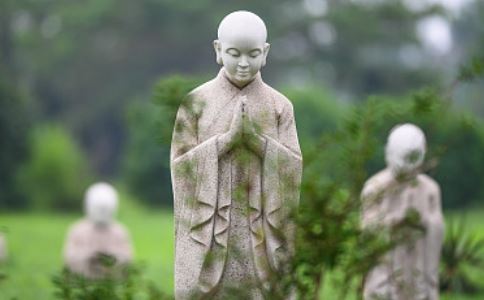 87年属兔人三大坎， 财富桃花事业需注意？