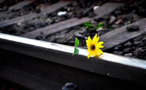 廖姓历史名人有哪些？