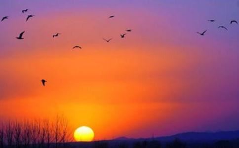 租房子的孕妇搬家禁忌