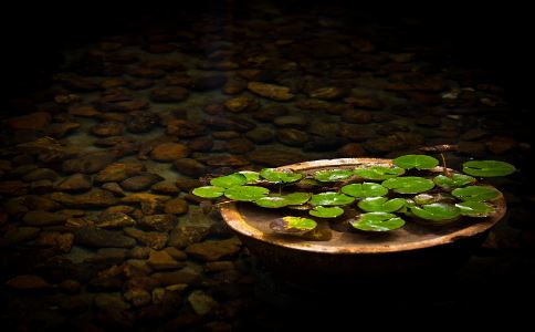 八字算命婚姻配对很准吗女人怎么看命运