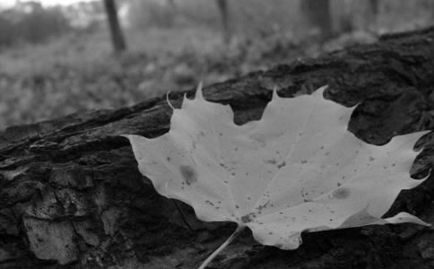 书房太大怎么布置，书房大一点好还是小一点好？