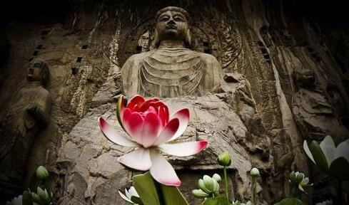 做一场和合法事一般需要多少钱