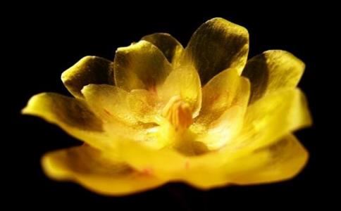 面相判断一个人是怨妇，鼻梁不平？