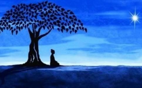 魏的姓名女孩名字大全两个字 魏的姓名女孩名字大全四个字