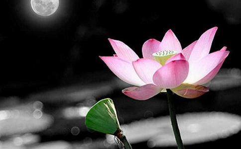 墓碑前放狮子好吗？