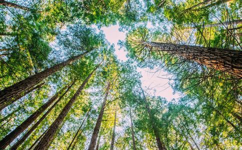 张钦然名字的寓意及含义解释